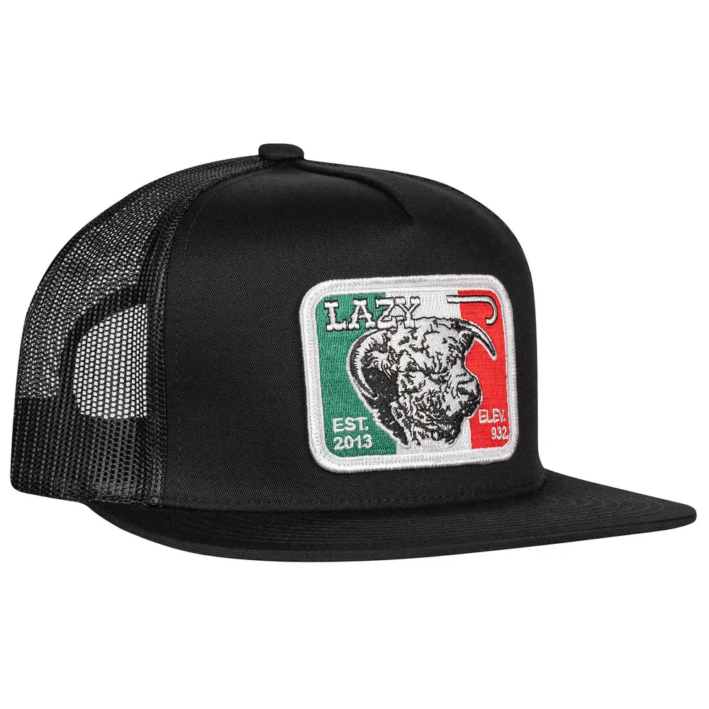 Black & Black 4" Mexico Bull Patch Cap