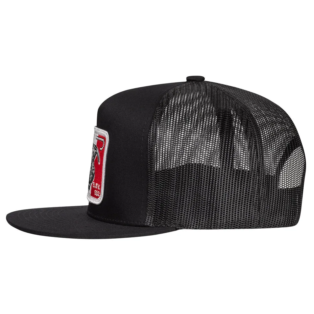 Black & Black 4" Mexico Bull Patch Cap
